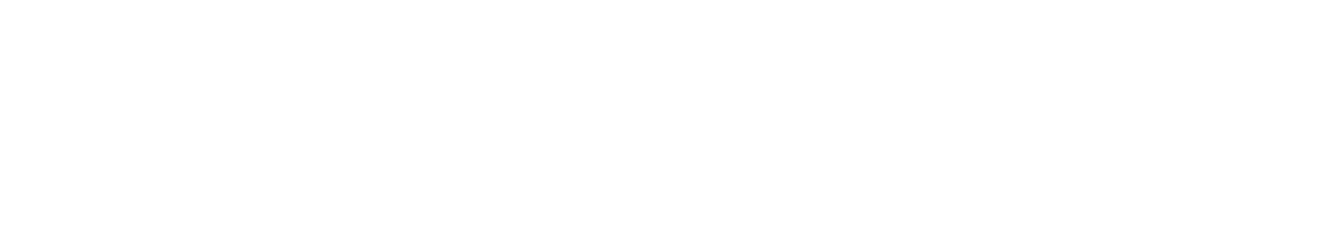 TikTok Ads
